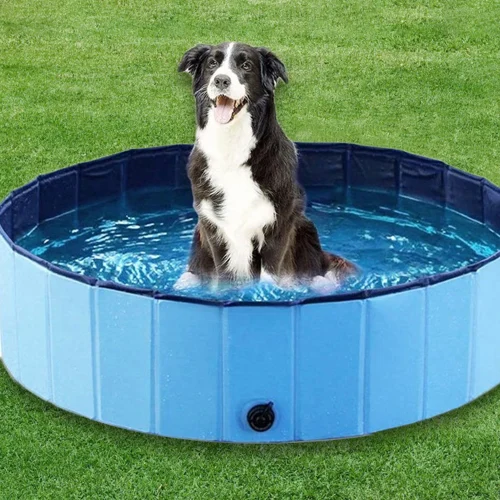 63x12" Portable Dog Swimming Pool